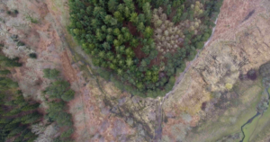 Forest-Higher-Aerials